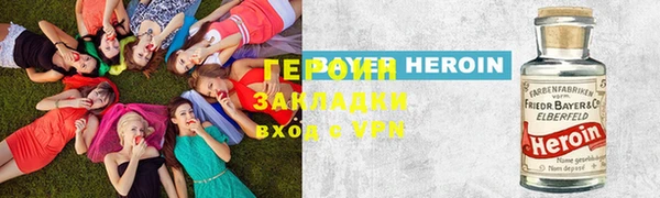 прущие грибы Вязники